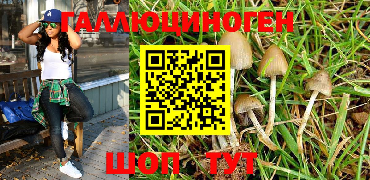 Озёрск  Галлюциногенные грибы Psilocybe  Вход с VPN 